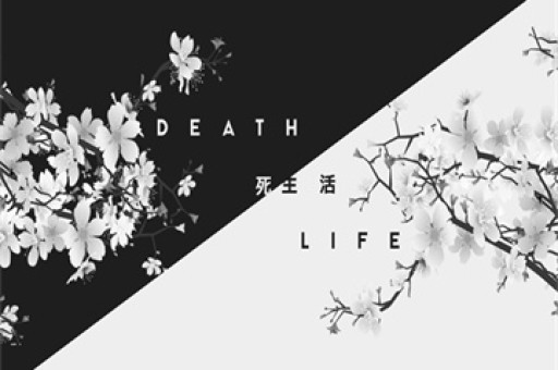 深圳湾悦府事故过渡安置方案全面出炉，共筑安心家园的温暖蓝图